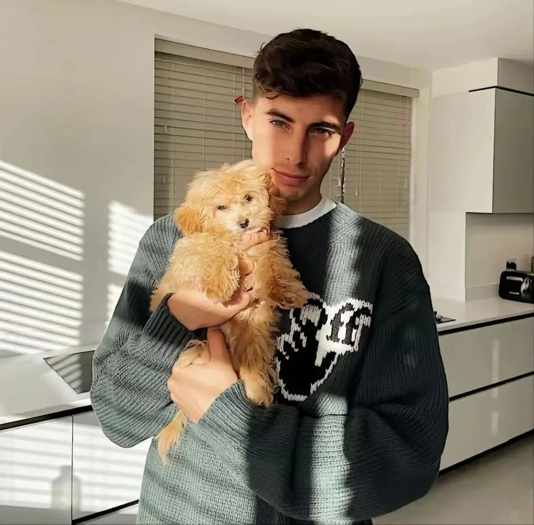 世界杯各国帅哥,世界杯帅哥有哪些