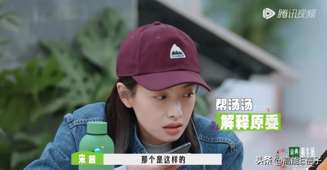 “坞学”新番：一个“乐队”引发的*案惨**