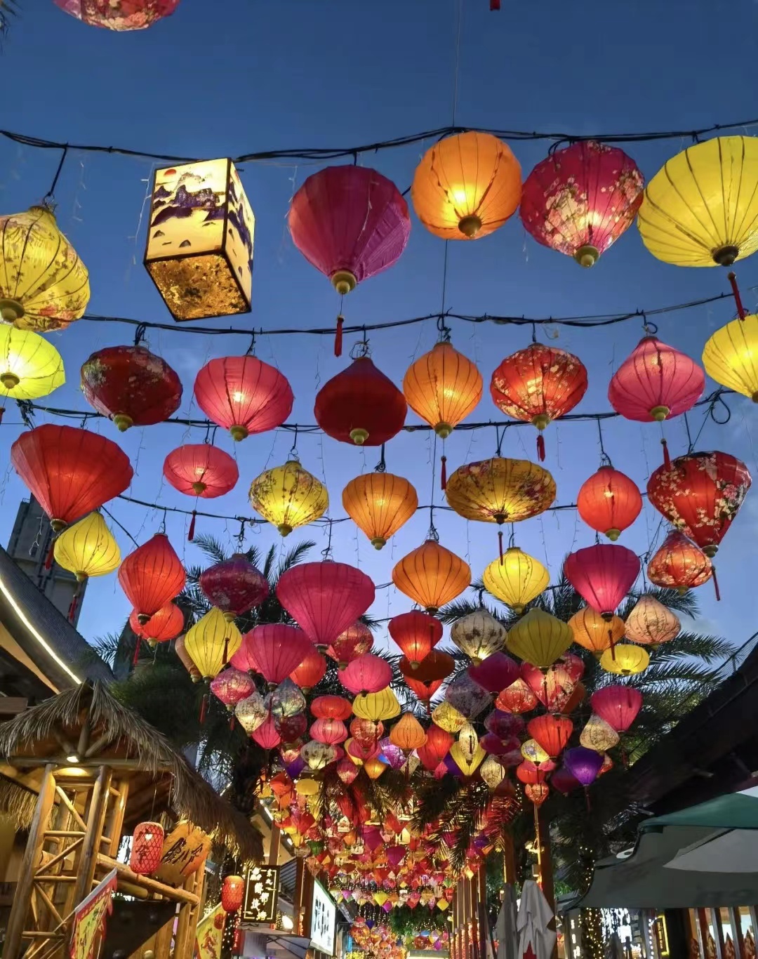 海南三亚湾红树林,三亚湾哪个红树林最好