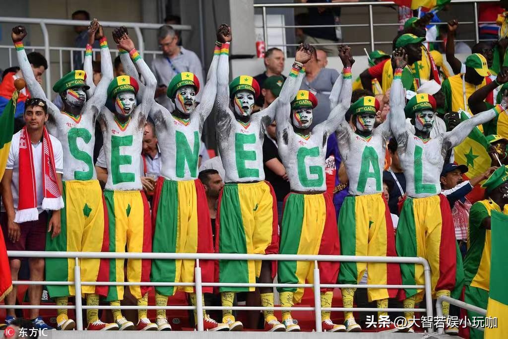 卡塔尔世界杯哪个画面让你意难平,卡塔尔世界杯现场球迷视角