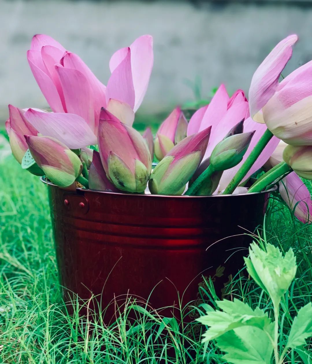 那就好好告个别吧，用你们最难忘的Moment