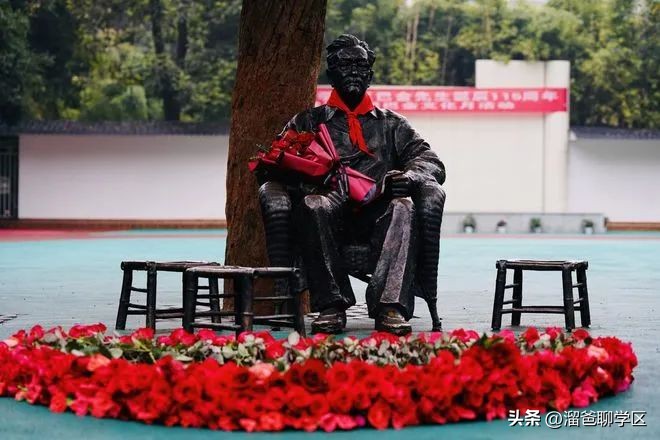 一校三区→一校五区？从不设分校的“金花学校”要爆发？