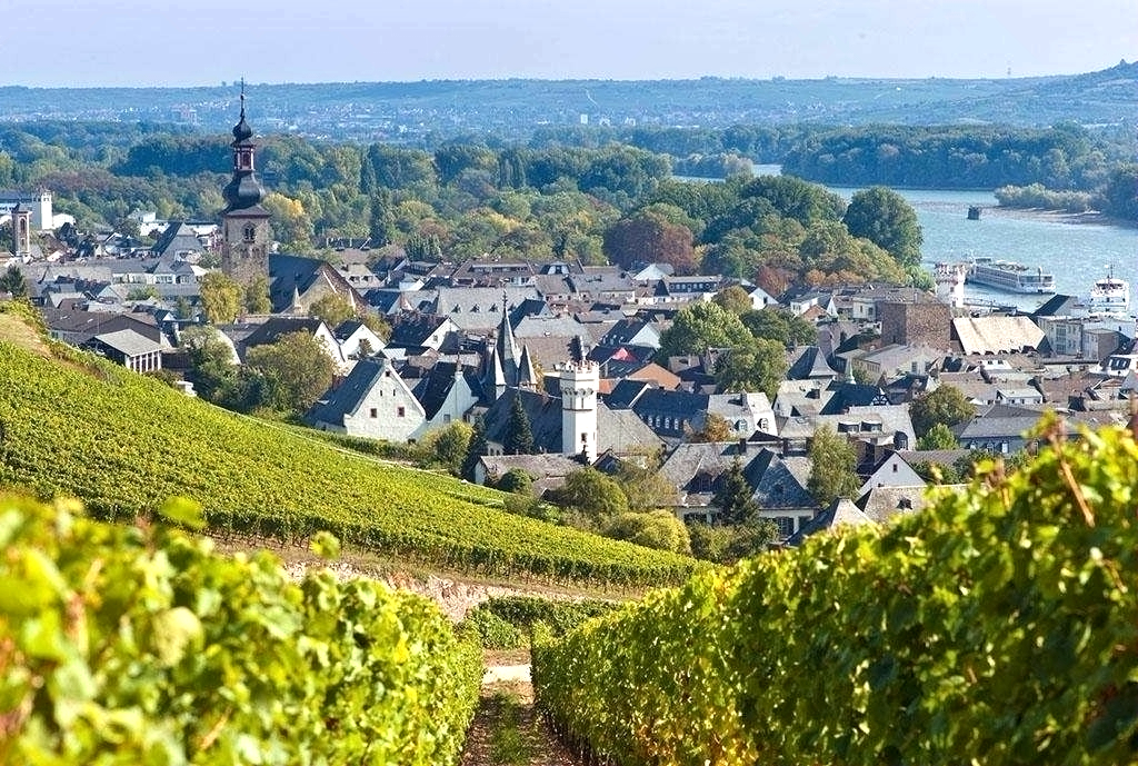 波尔多干红哪个好喝,波尔多批发价500元左右红酒