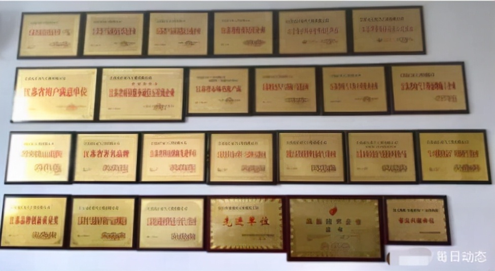 访江苏众汇电气工程有限公司董事长林商理