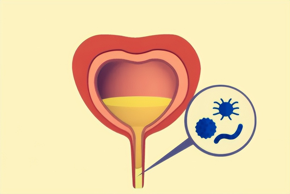 自从换了新工作就一直生病,自从换了地方上班就各种生病