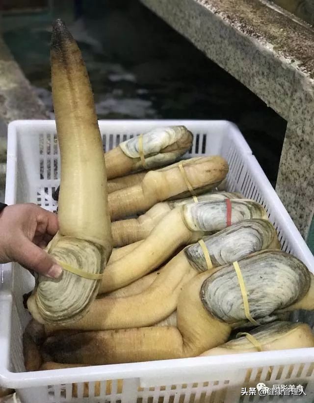 海鲜贝类品种大全及名字,22种海鲜贝类做法大全