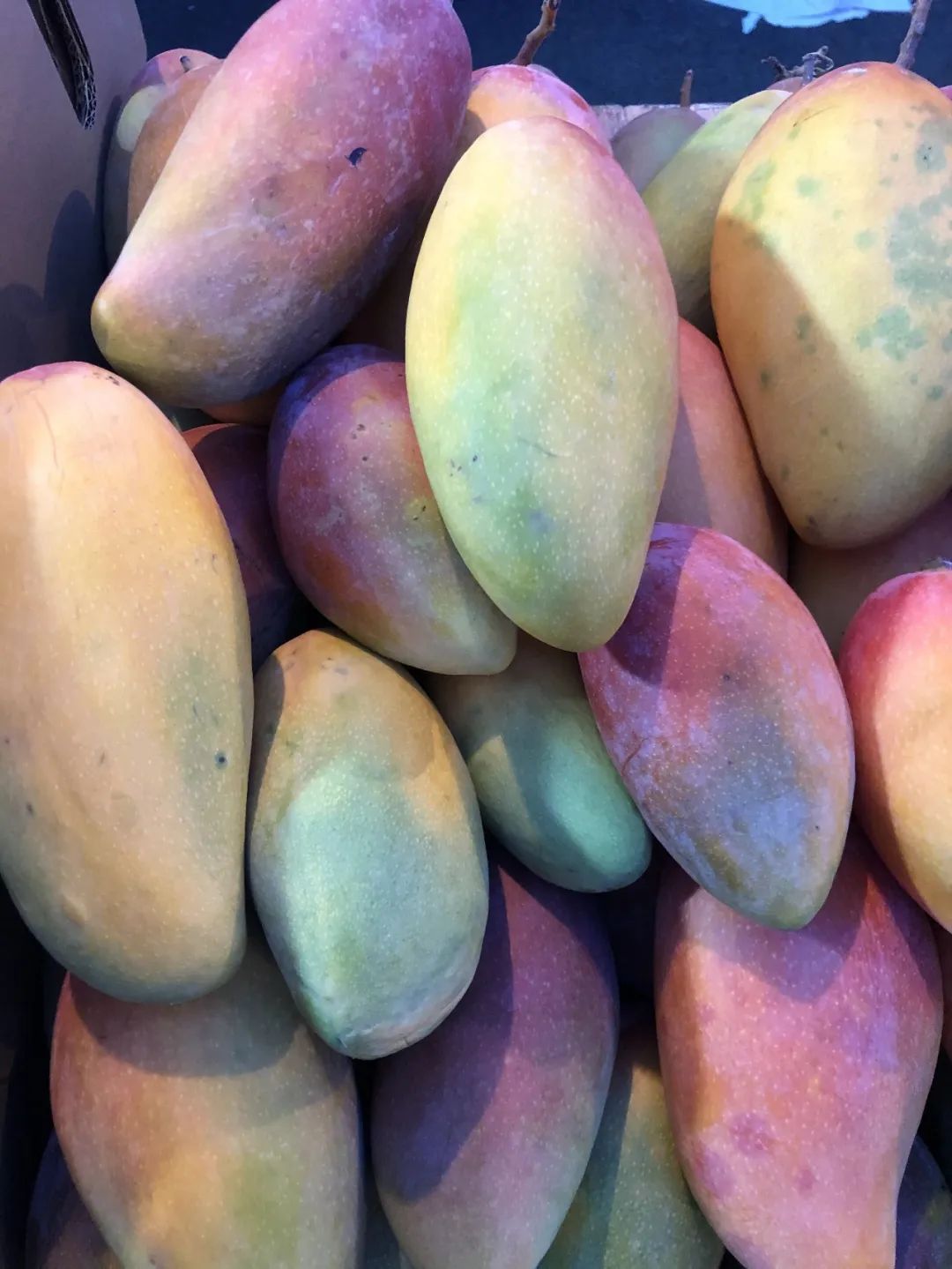 德昌的好地方,德昌有哪些值得去的