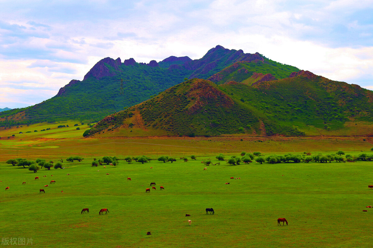 胃痛胃胀中药调理,胃胀胃痛一般吃几副中药有效果