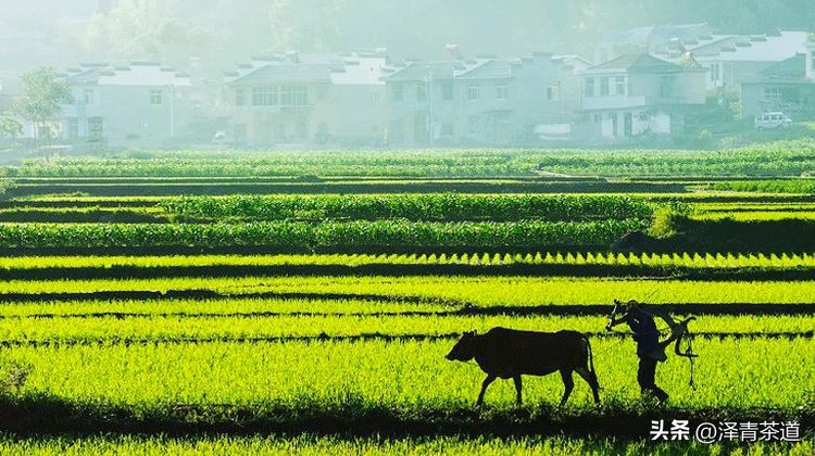 写春天的著名唐诗宋词加赏析,100首关于春天的唐诗宋词
