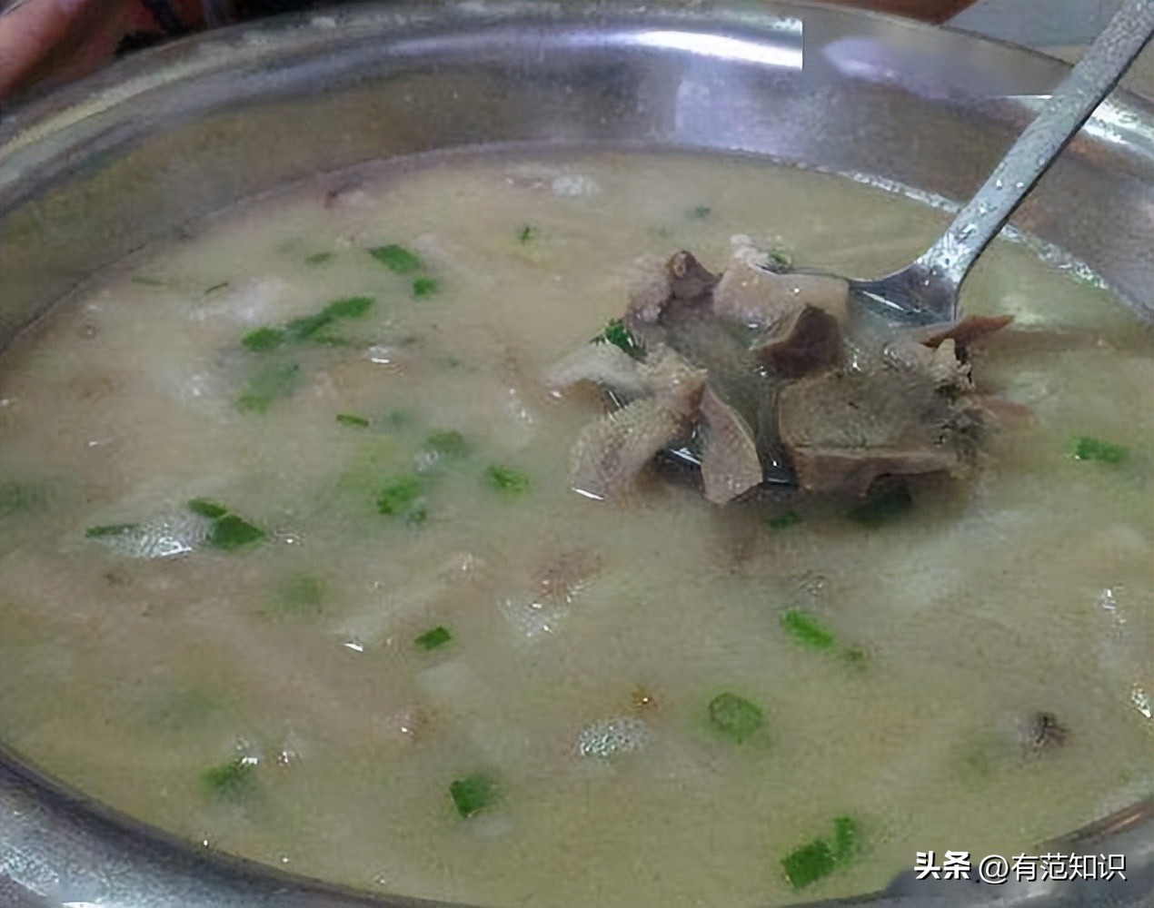 湖南小伙5000亩地养10只鸡,湖南小伙5000亩地只养十只鸡