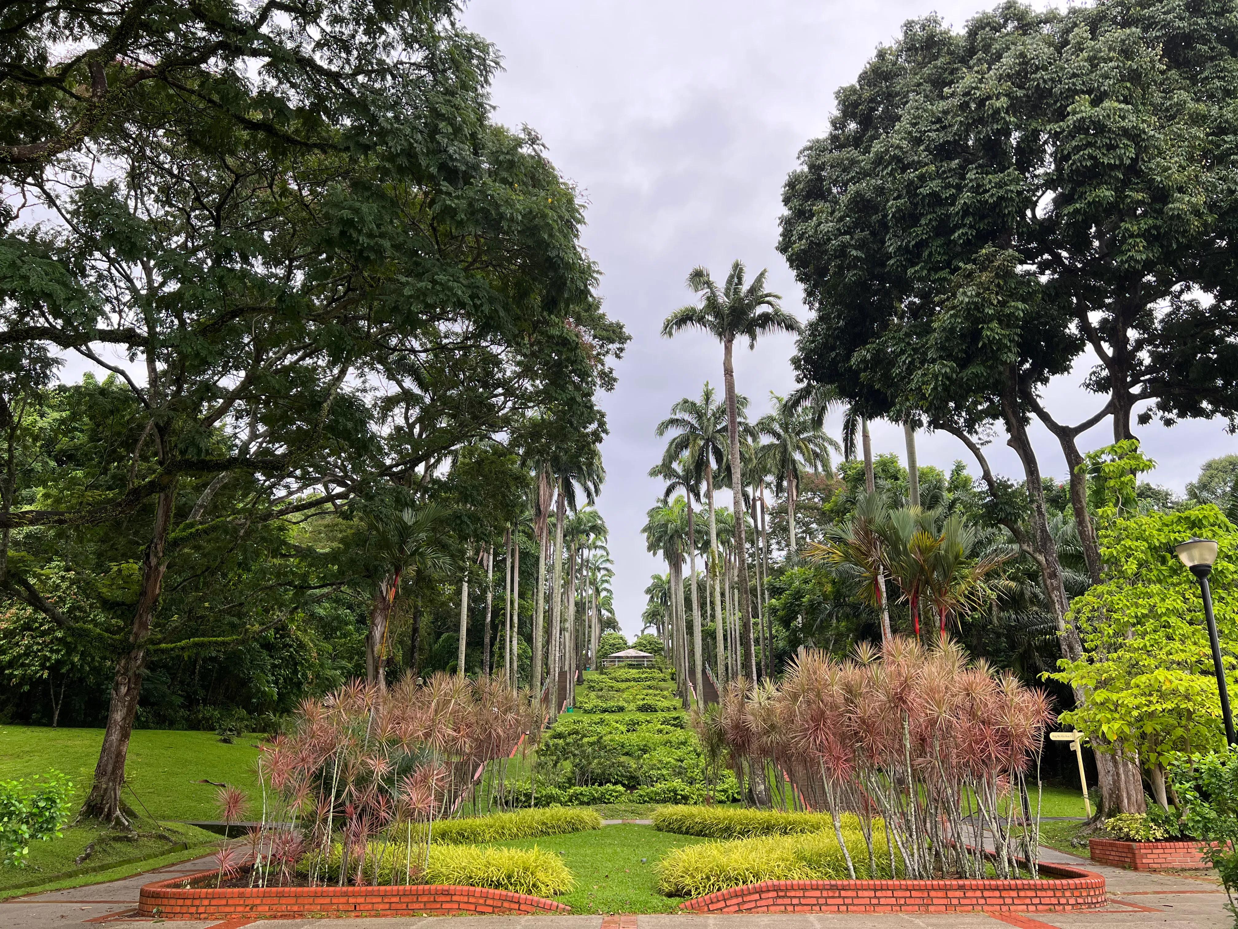 第二次来新加坡的感受,在新加坡生活的真实感受