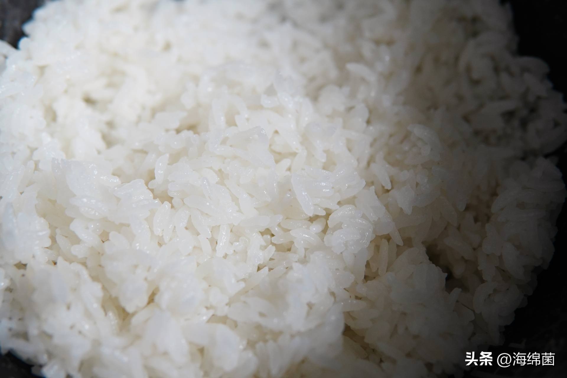 “灵魂米饭”离不开好电饭煲，厨房升级东芝电饭煲有感