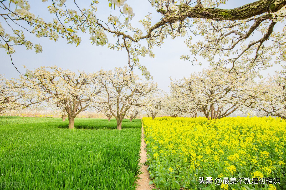 唯美人生现代诗简短,现代诗朗诵视频面朝大海春暖花开