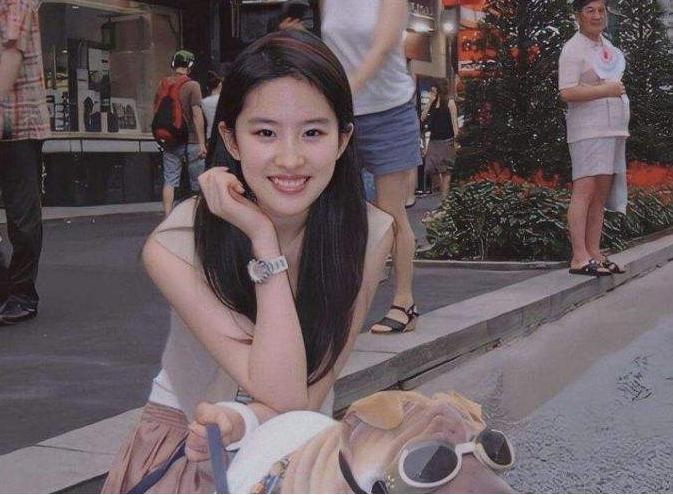 娱圈富贵花,娱乐圈人间富贵花