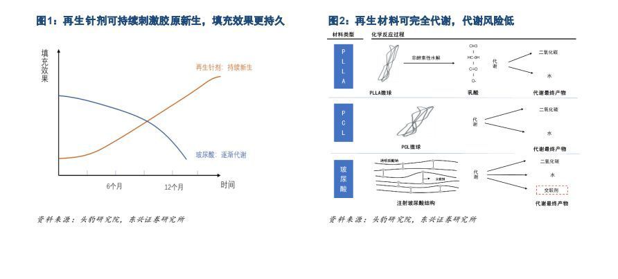 轻医美将成医美市场发展趋势,再生类医美行业解析
