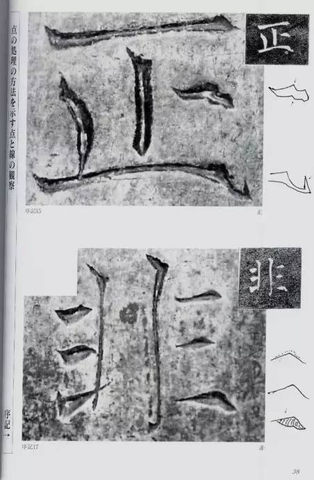 宸ョ瑪鐢绘潹鏅箟鐢诲唽,鏉滈箖鏉ㄦ櫘涔夊畬鏁寸増