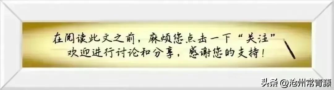 「沧州资讯」“夜享狮城”专线开通与“运河市集”开市的文化价值