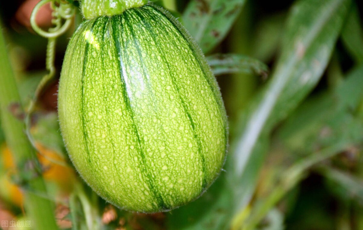 never能修饰副词吗,never副词是表示时间还是方式