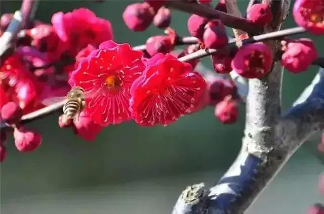 童年趣事100个小故事,童年趣事作文500字