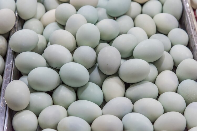 皮蛋单吃为什么那么恶心,恶心想吐吃皮蛋行吗