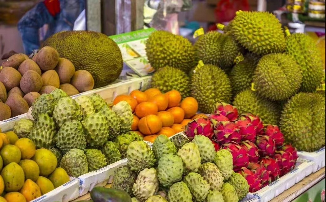 带你认识热带植物,带你认识水果