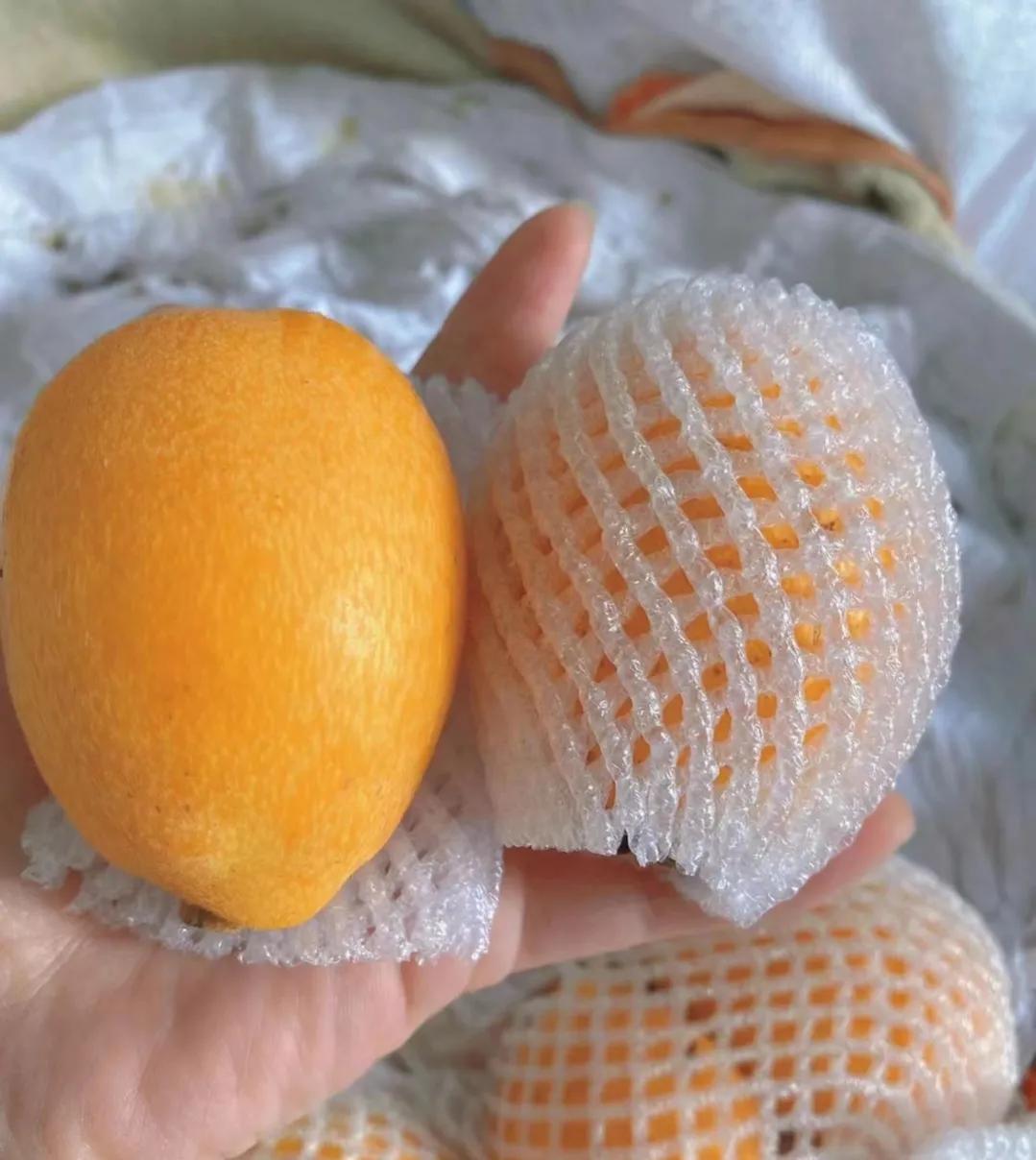 3月吃什么水果五种应季水果推荐,3月份应该吃到哪些水果