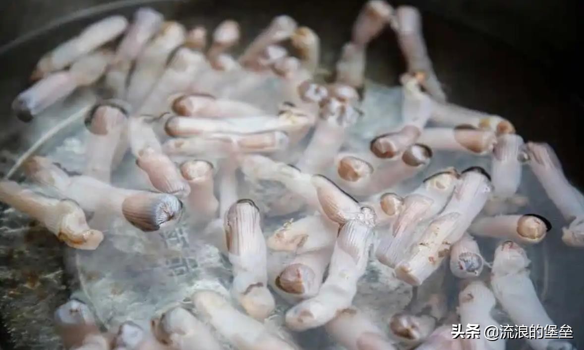 国内最不受人待见的四种特产美食,中国人最喜欢的十大美食