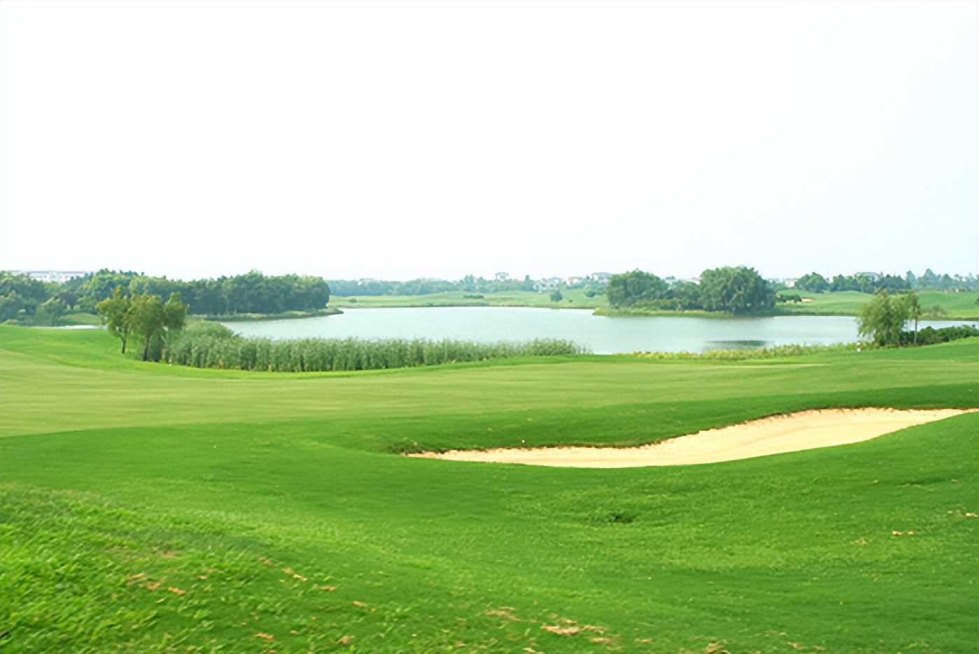 上海银涛高尔夫有限公司,上海银涛高尔夫球场项目