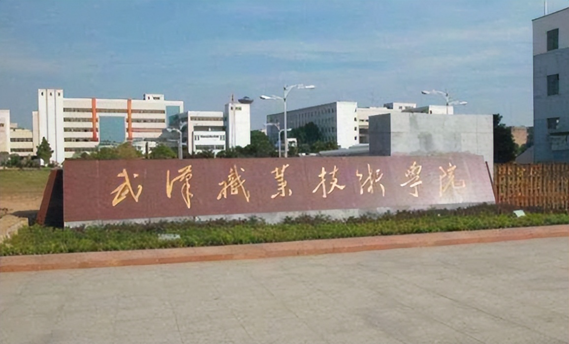 湖北公办高职高专学校排名榜,湖北省高职高专院校排名前十