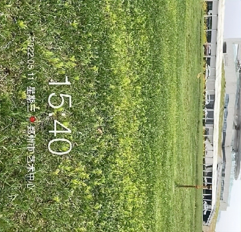 12月份园林绿化养护工作重点,元月份园林养护重点工作