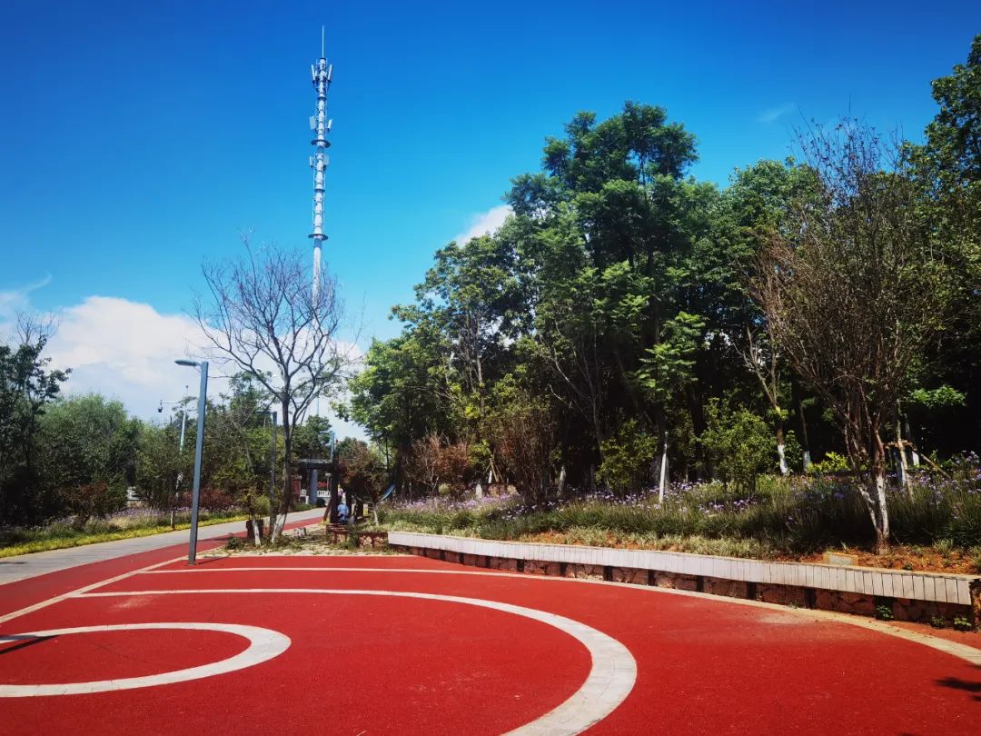 街心花园附近拍照打卡点,街心花园打卡