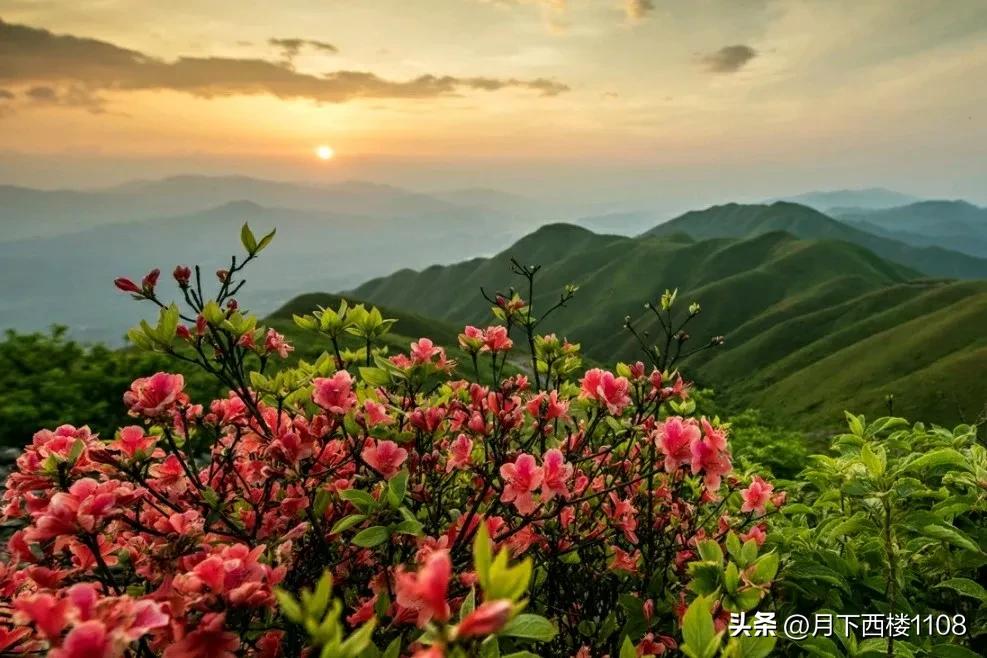 不忘初心梦想不变,不忘初心方得始终梦想会实现