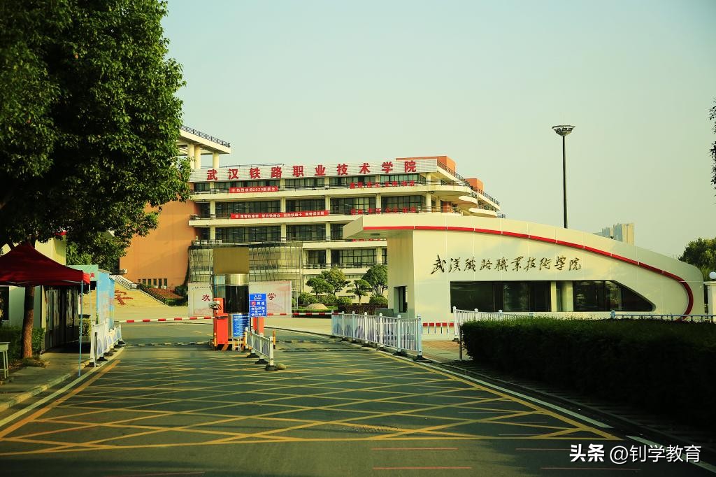 专科怎样报志愿,河南专科怎么报志愿