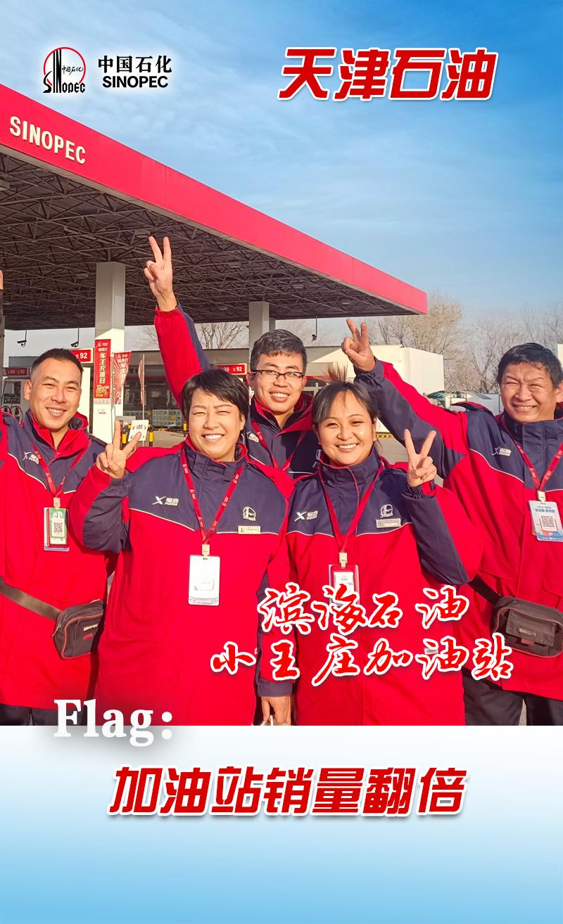 中国石化企业的现状,中国石化国内最新项目