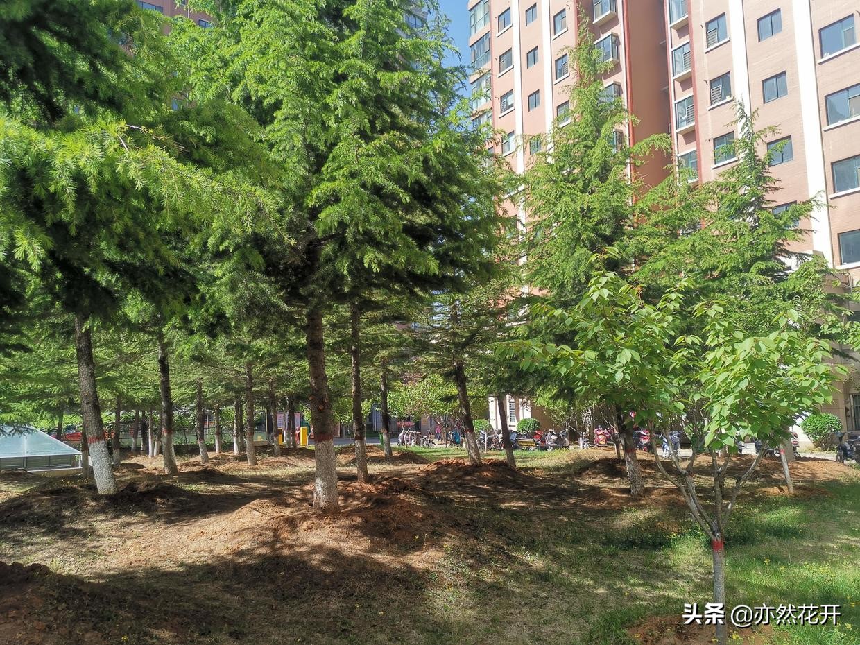 给同事写的感谢信怎么写模板,职场沟通感谢信怎么写格式