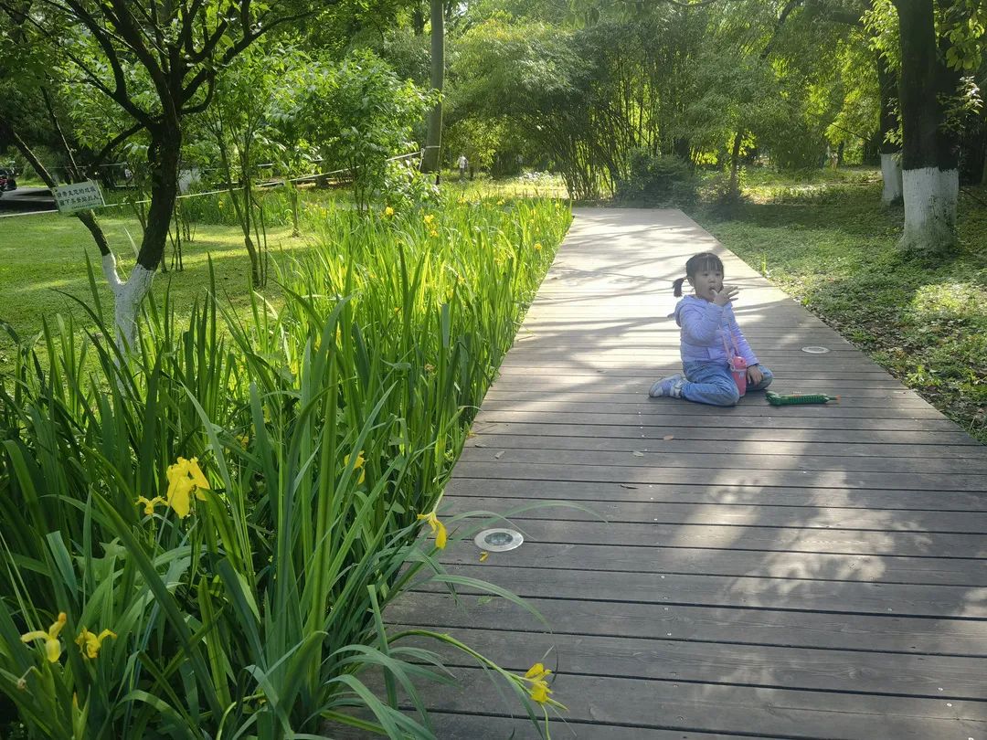 必去的花溪公园,假期余额不足游玩依旧火热