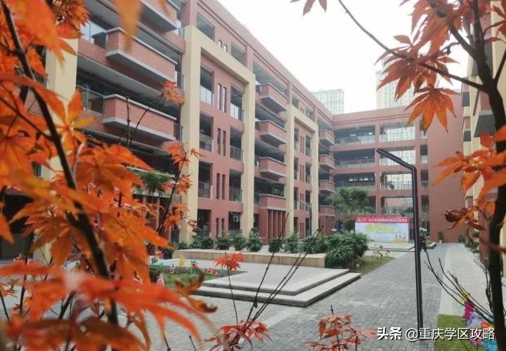 优质小学和优质初中对房价的影响,沙区重点学区