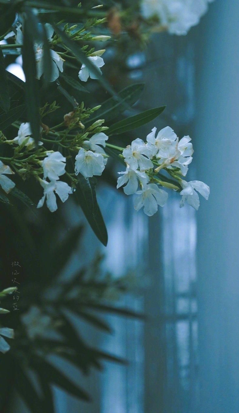 这10首诗词胜过你今年读过的鸡汤,五千年来最有哲理12句诗词太经典