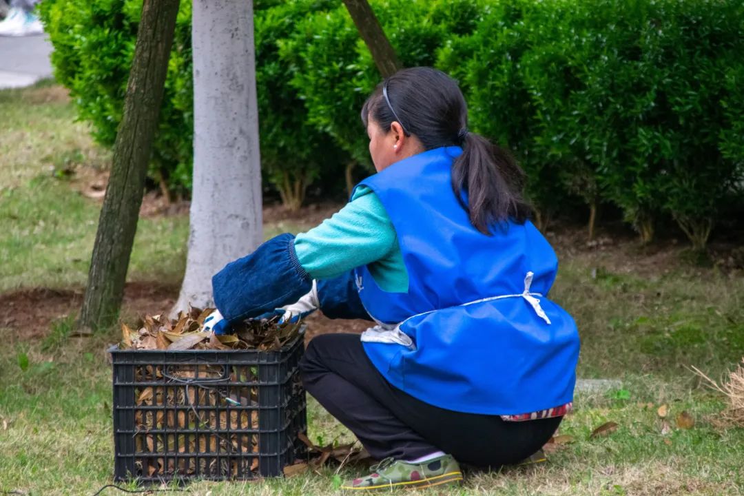 致敬平凡的劳动者图,致敬最朴素的劳动者图片