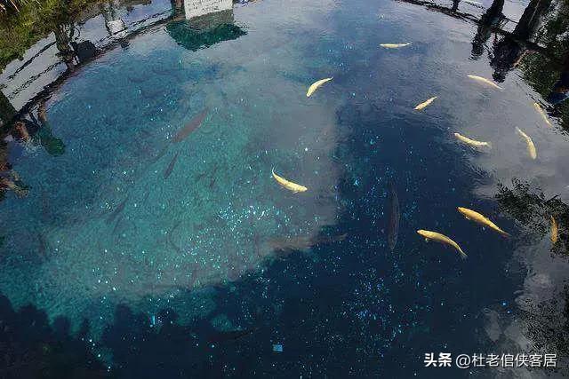 日本忍野八海值得去吗,忍野八海游玩