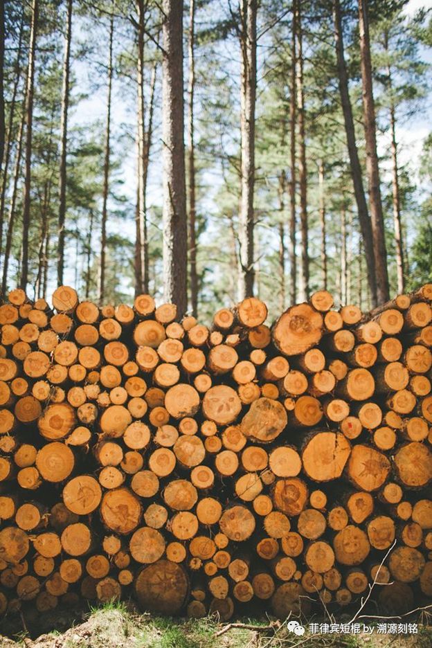 菲律宾短棍什么材质好,菲律宾短棍和中国少林棍