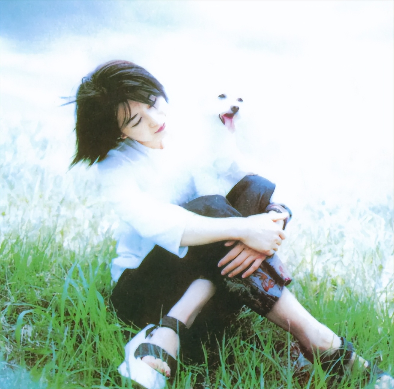 孟庭苇离婚原因大揭秘,孟庭苇张志鹏离婚原因