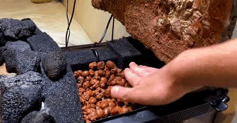 在卧室造一片弱肉强食的危险雨林，会打雷还真的会下雨