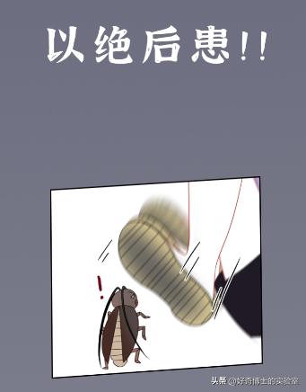 家里踩死的蟑螂，为啥一会儿就自动消失了？