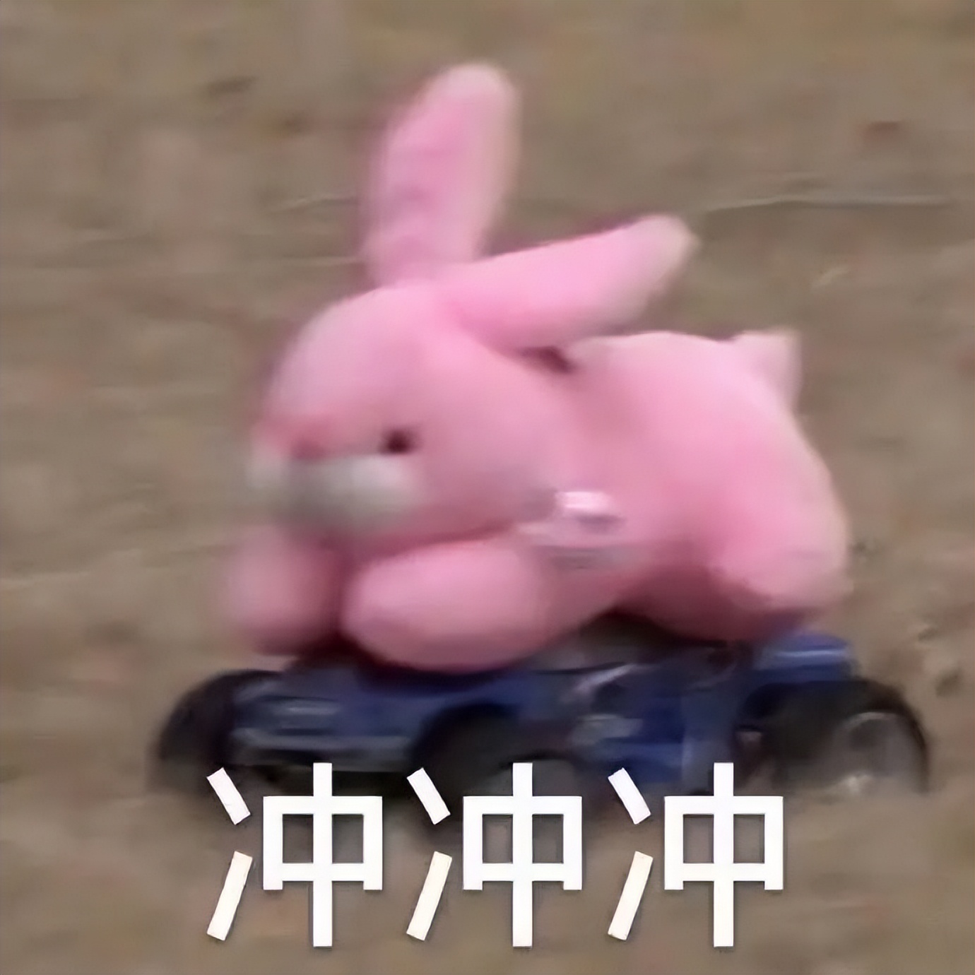 广东湛江中考体育考试最新消息,湛江中考2020体育考试什么科目