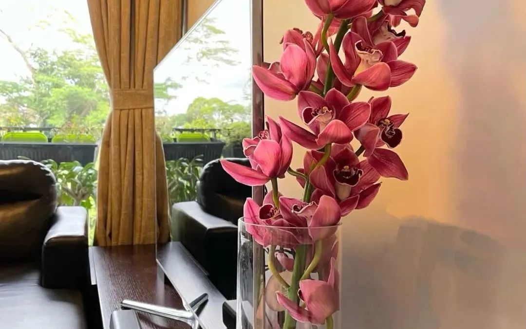 新手必看鲜花养护攻略,鲜花在水里能养几天会死