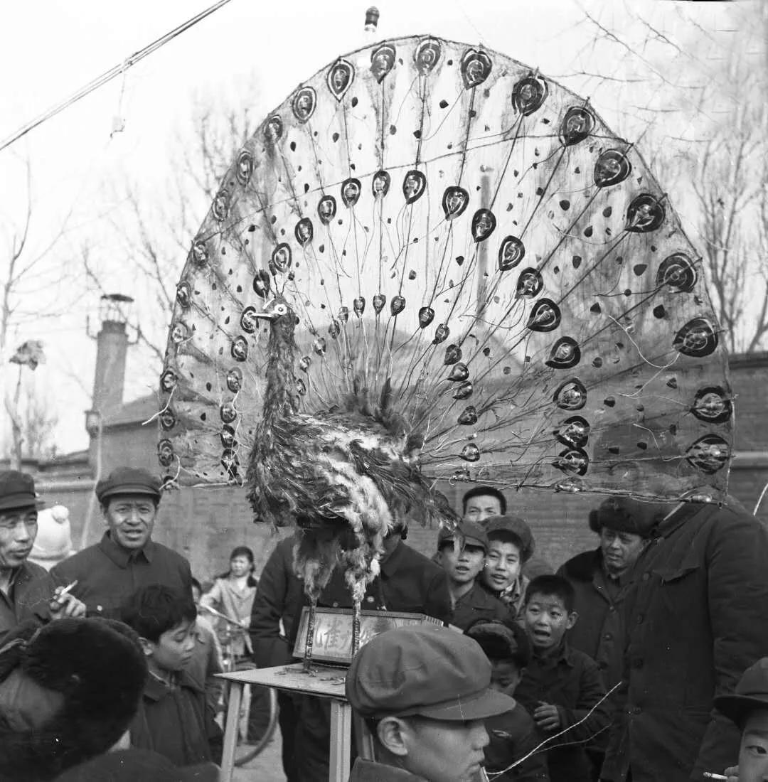 元宵灯会超赞,包头元宵花灯