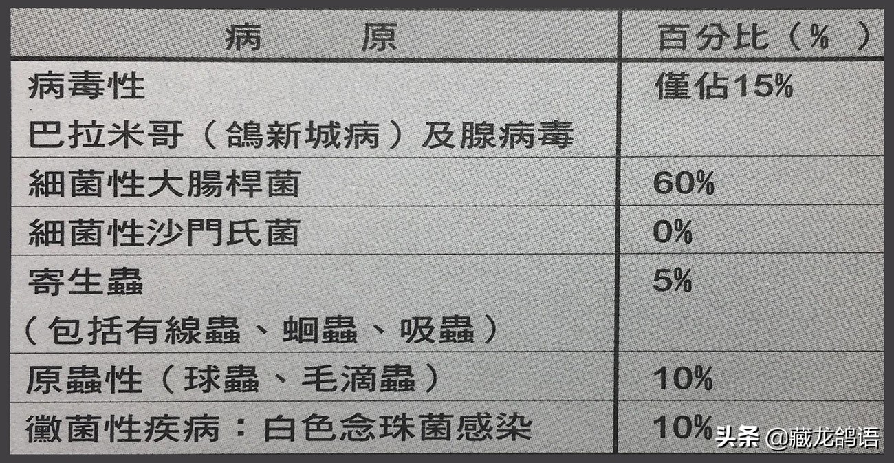 宝宝肠道腺病毒上吐下泻,腺病毒解剖症状