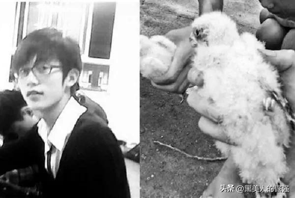 大学生因掏鸟窝被判有期徒刑十年,父亲坚持上诉五年,是错判吗