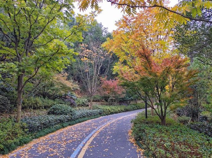 晨思暮想中年人,晨思晚语